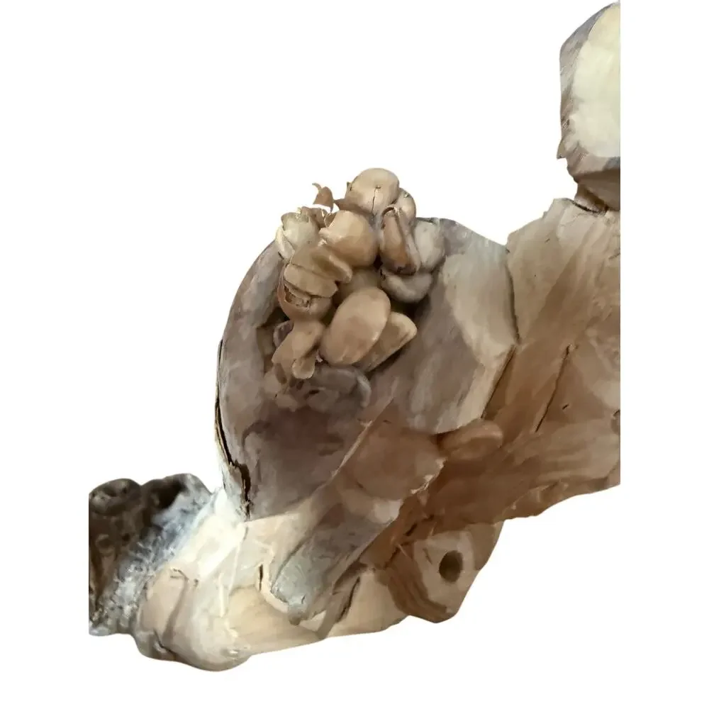 Unbranded coffee root